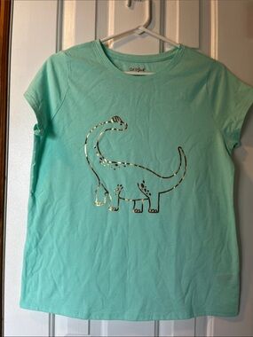 Cat & Jack Mint Green Tee with Gold Dinosaur